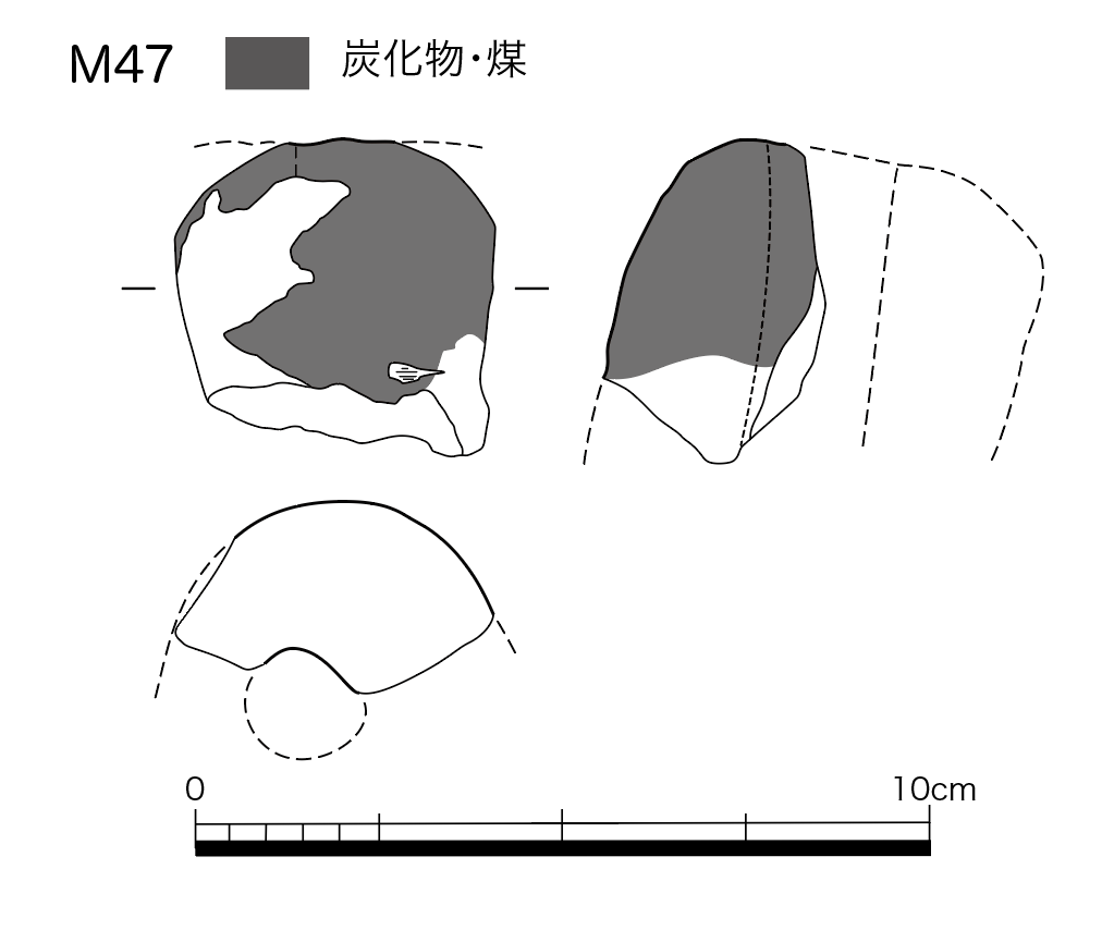 図版画像