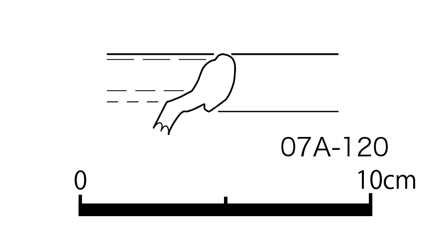図版画像