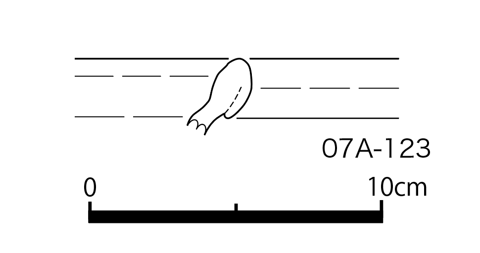 図版画像