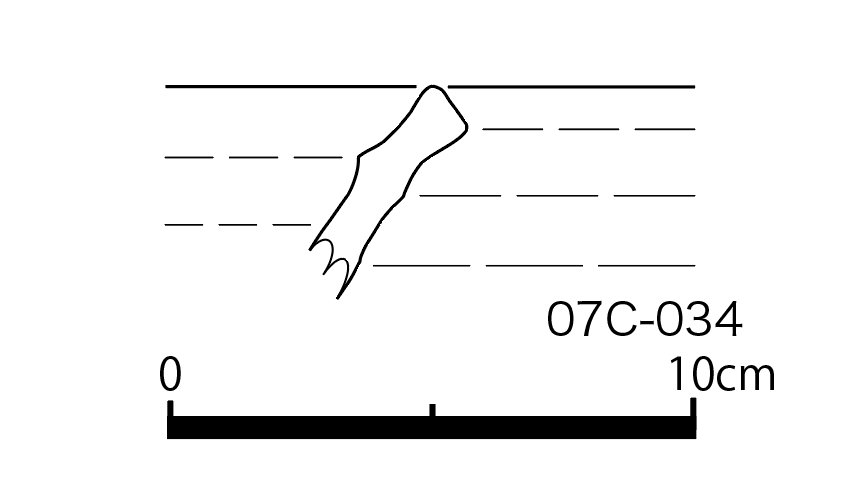 図版画像