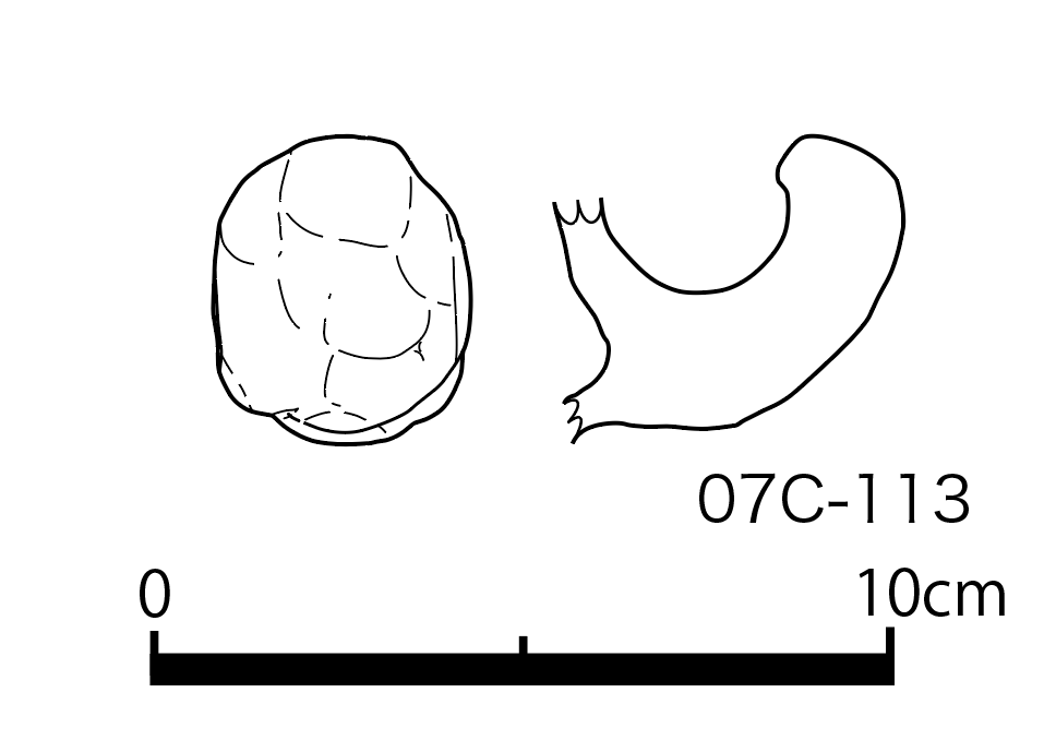 図版画像