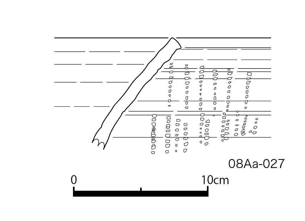 図版画像