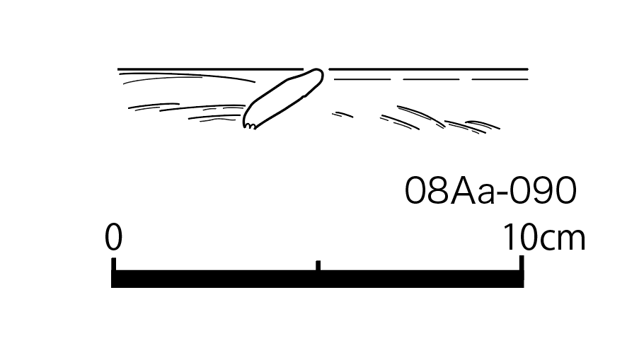 図版画像