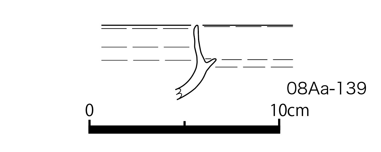図版画像