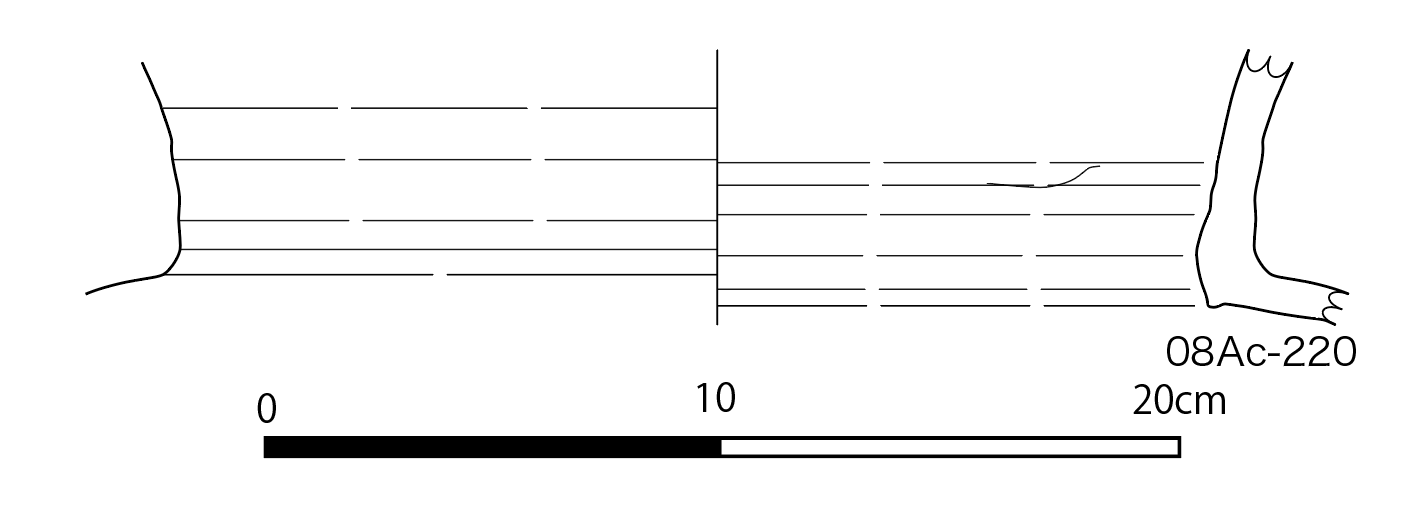図版画像