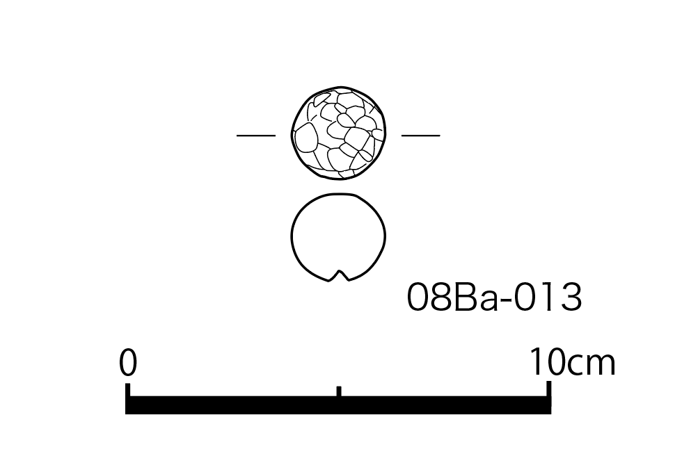 図版画像