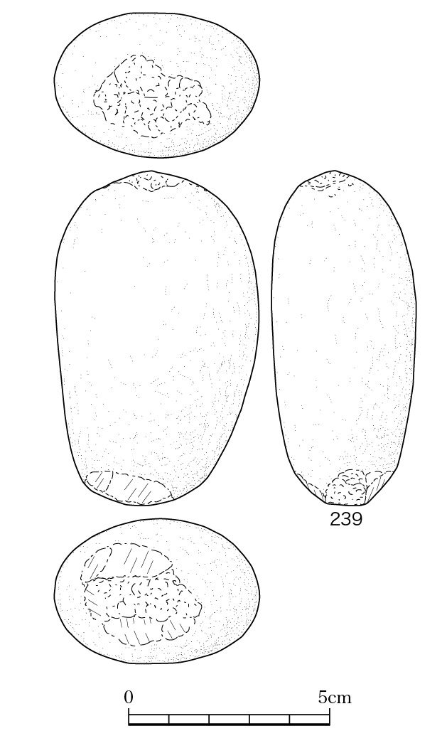 図版画像