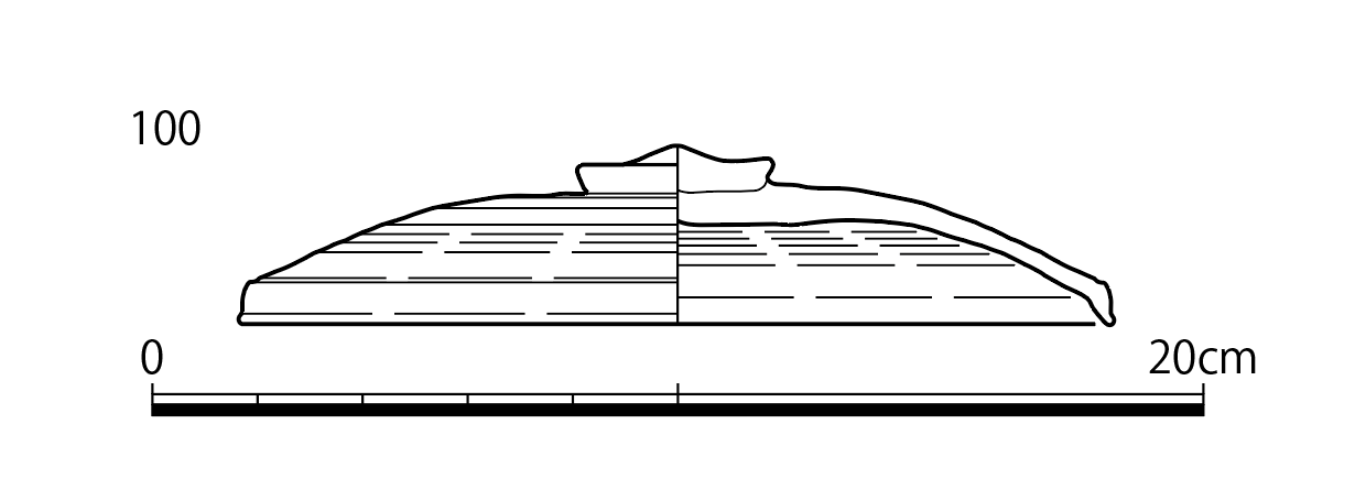 図版画像