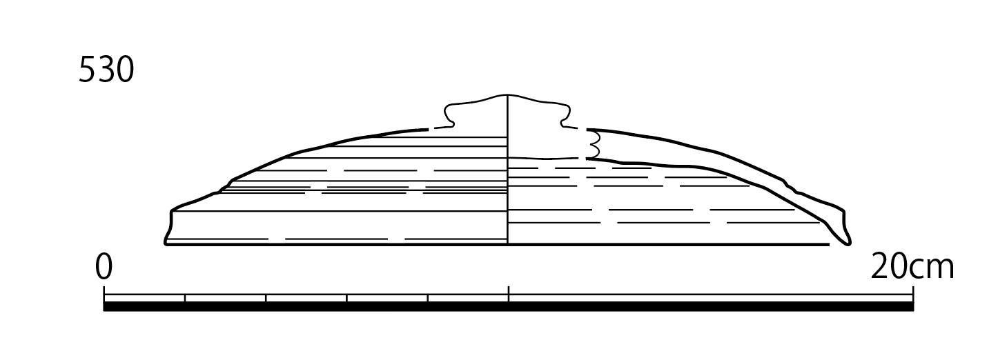 図版画像