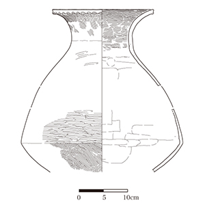 図版画像