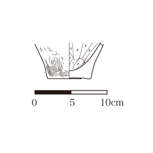 図版画像