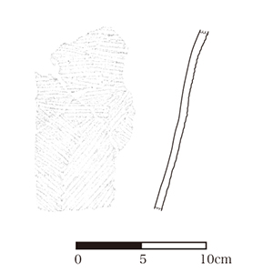 図版画像