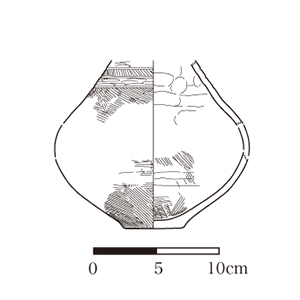 図版画像