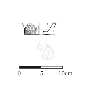 図版画像