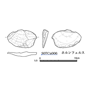図版画像