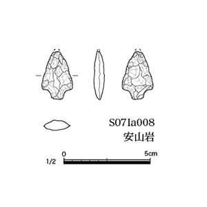 図版画像