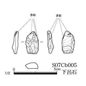 図版画像