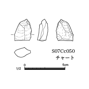図版画像
