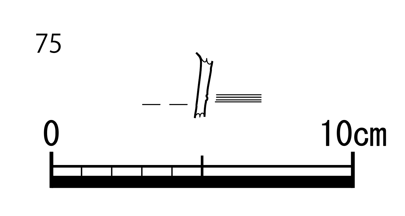 図版画像