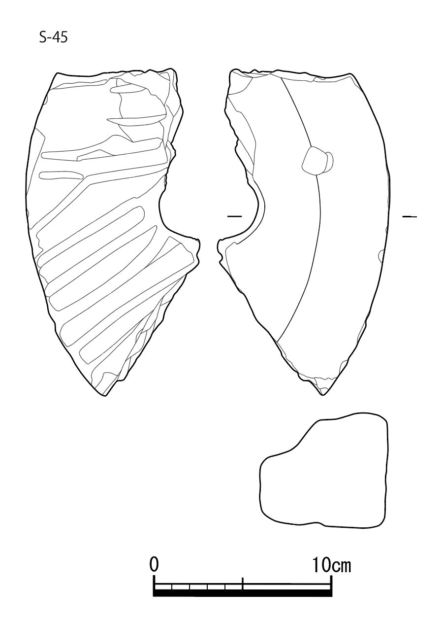 図版画像