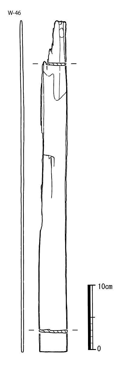 図版画像