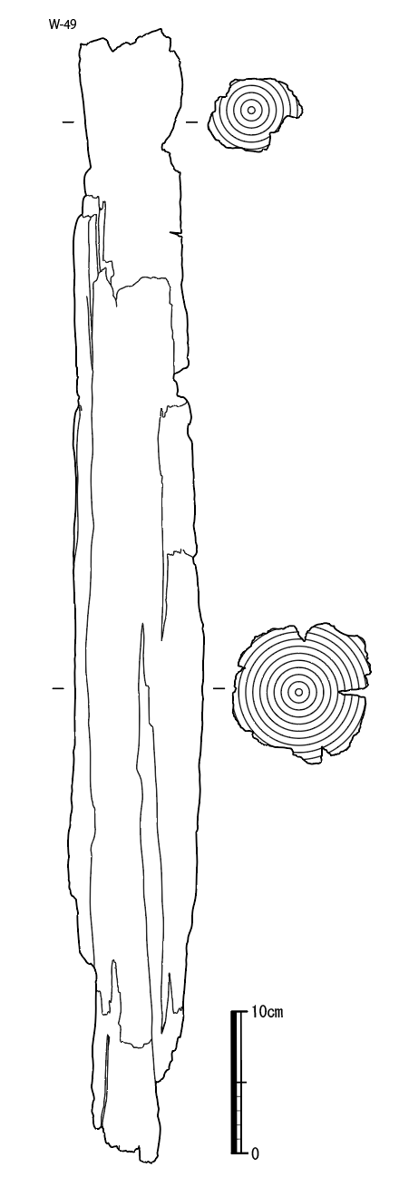 図版画像