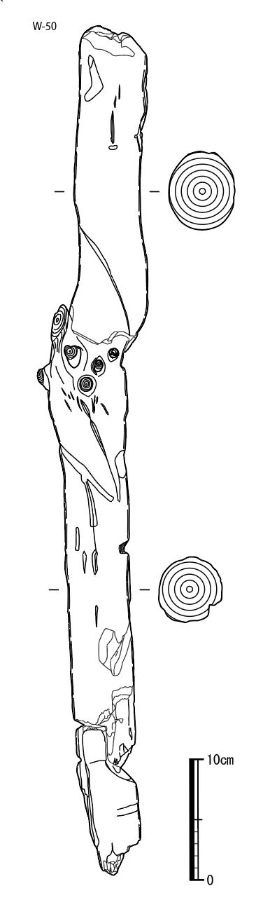 図版画像