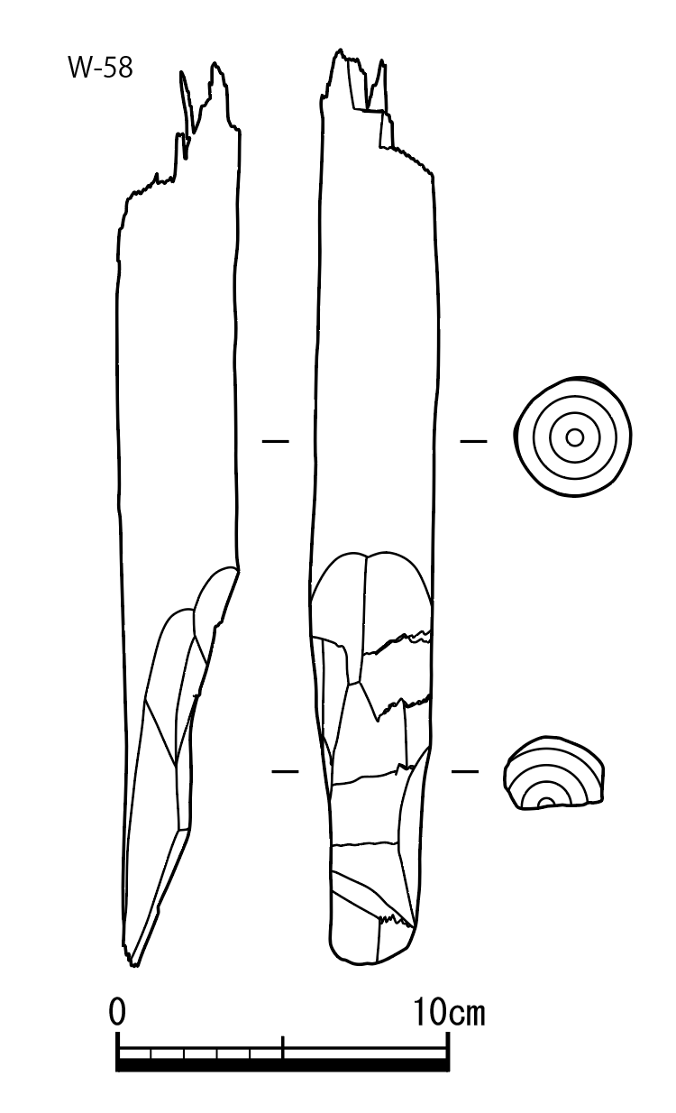 図版画像