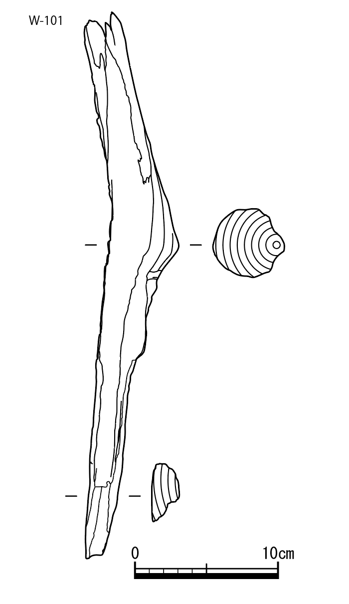 図版画像