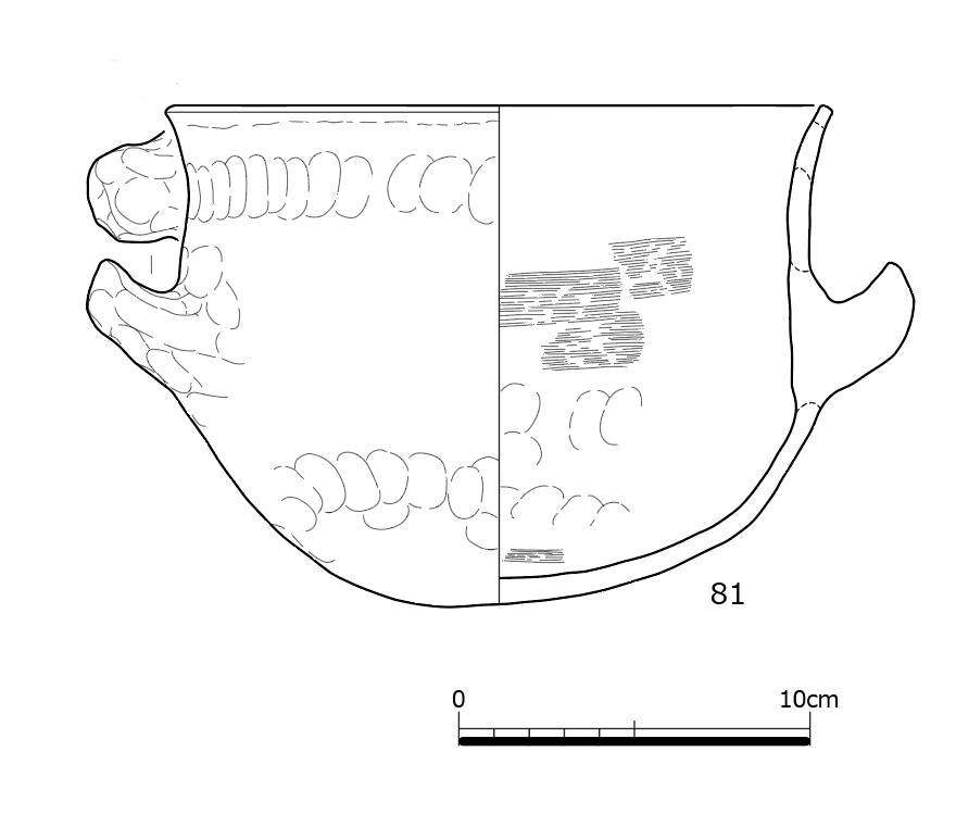 図版画像