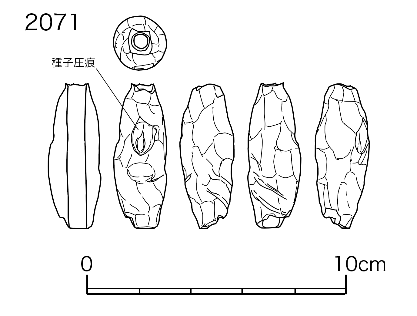 図版画像
