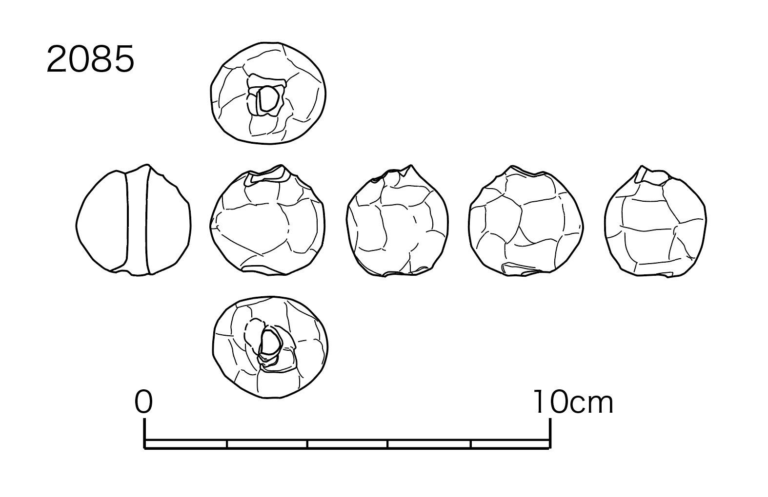 図版画像