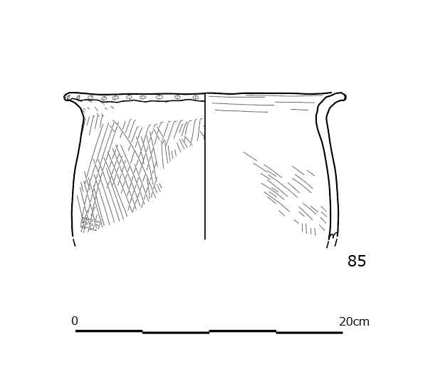 図版画像