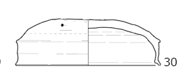 図版画像