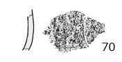図版画像