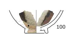図版画像