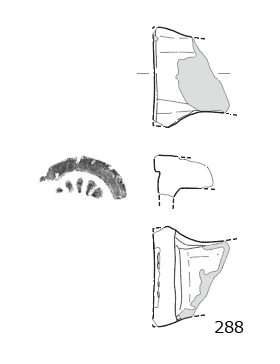 図版画像