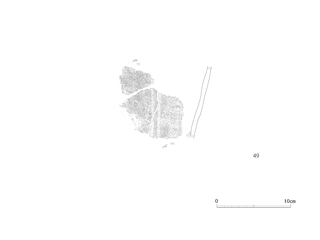 図版画像