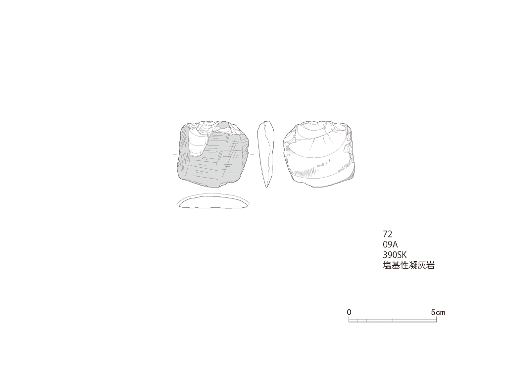 図版画像