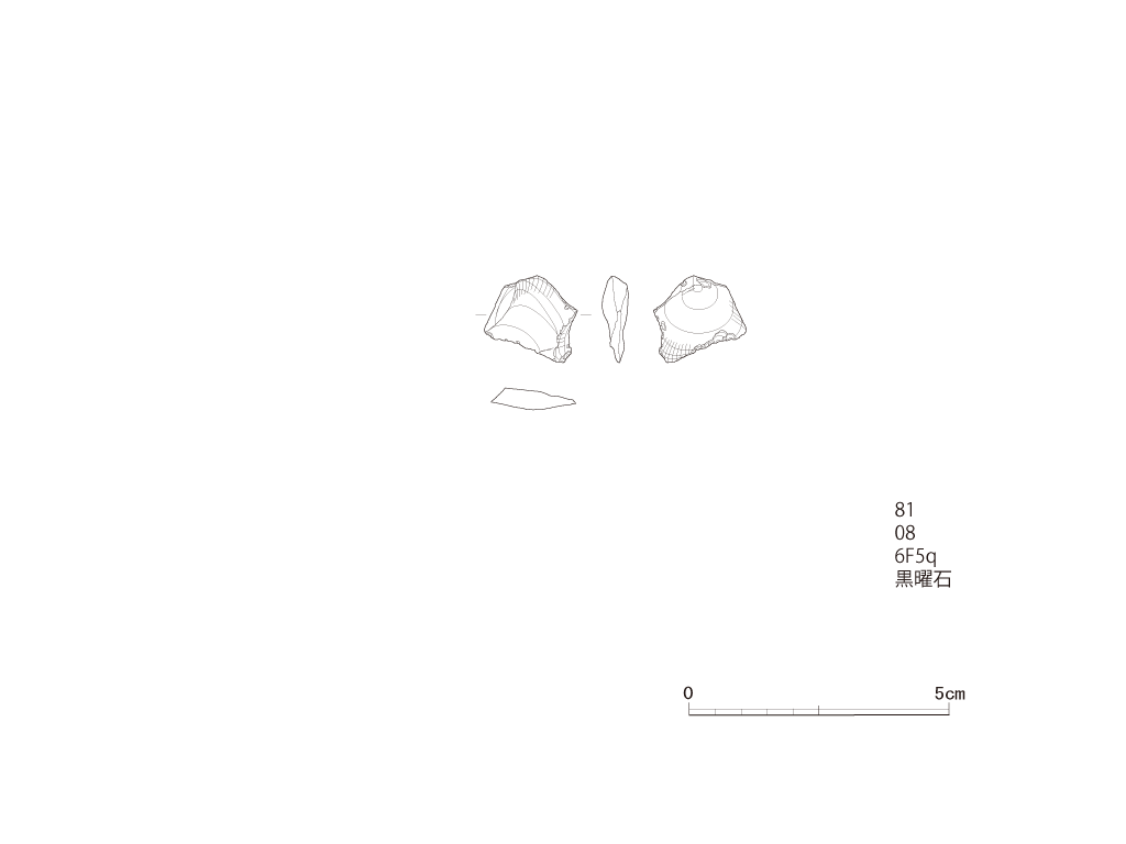 図版画像