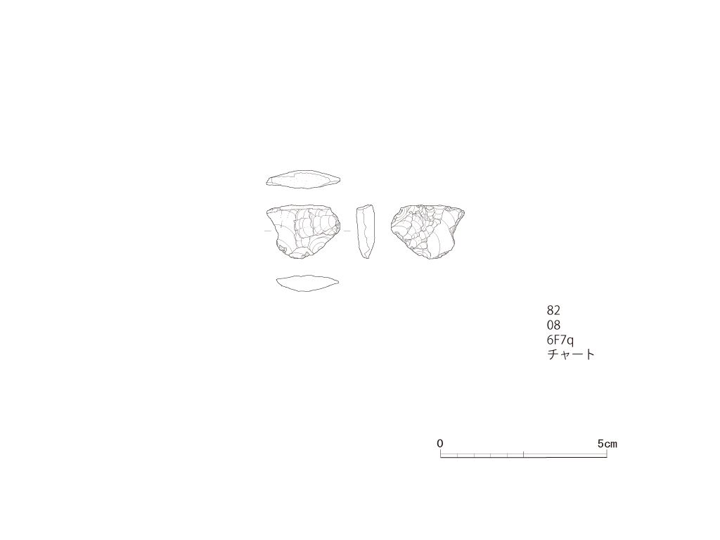 図版画像