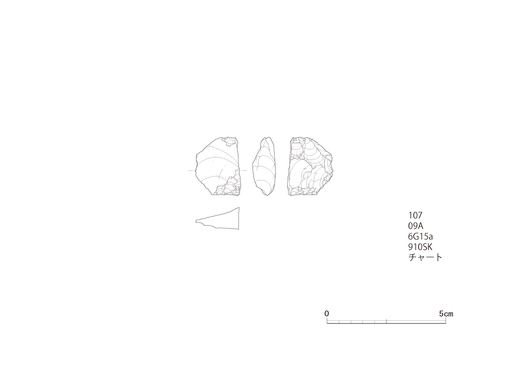 図版画像