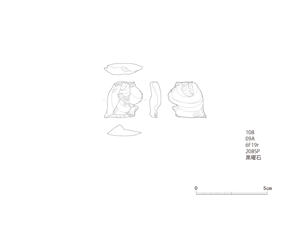 図版画像