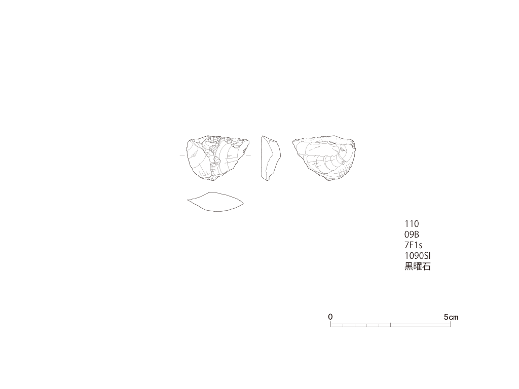 図版画像