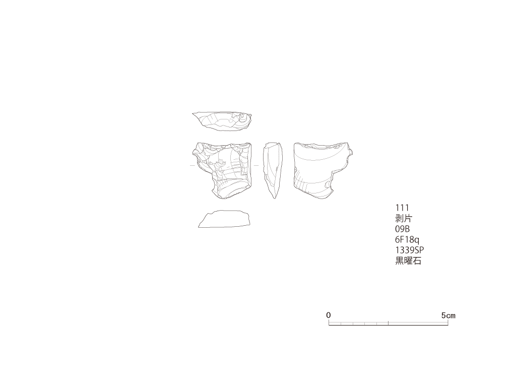 図版画像