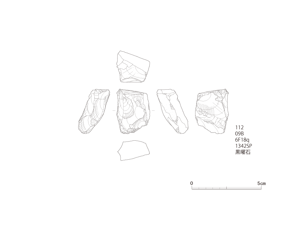 図版画像
