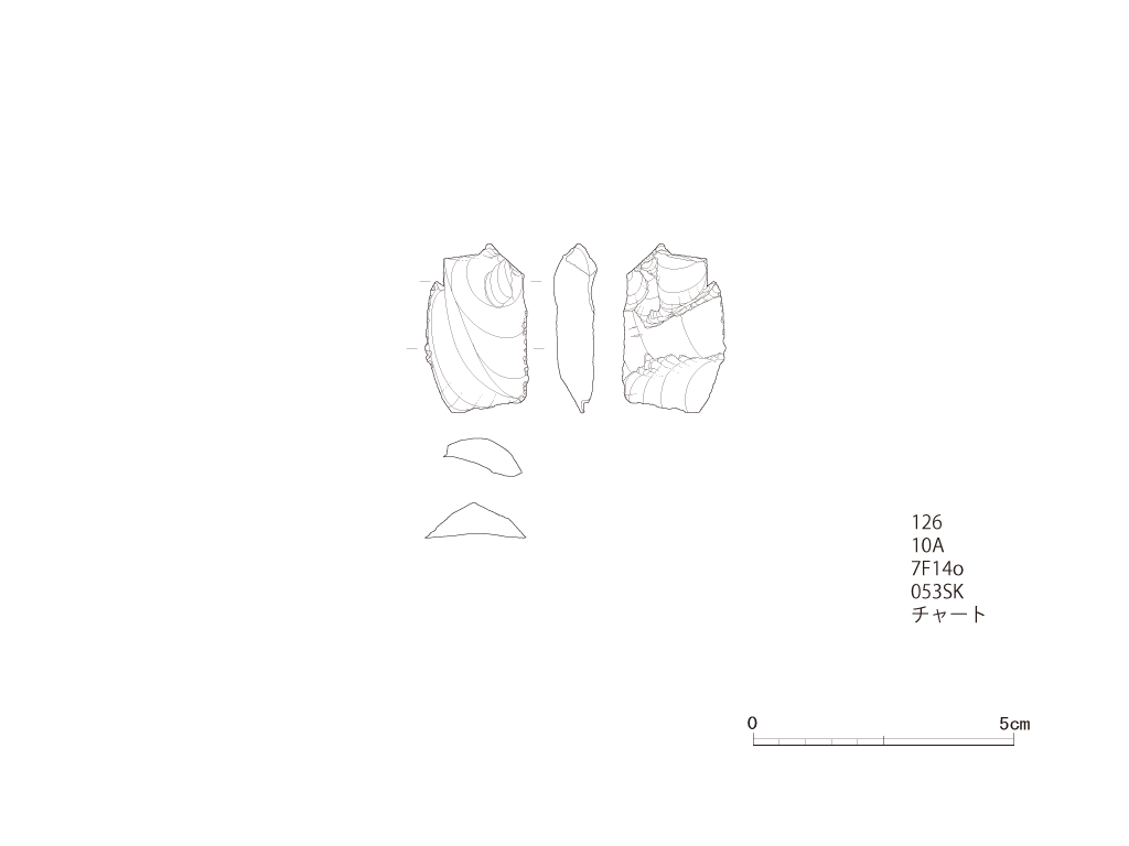図版画像