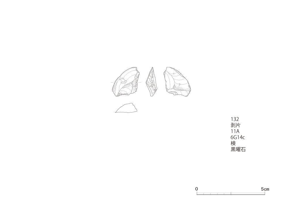 図版画像