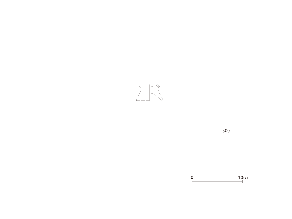 図版画像