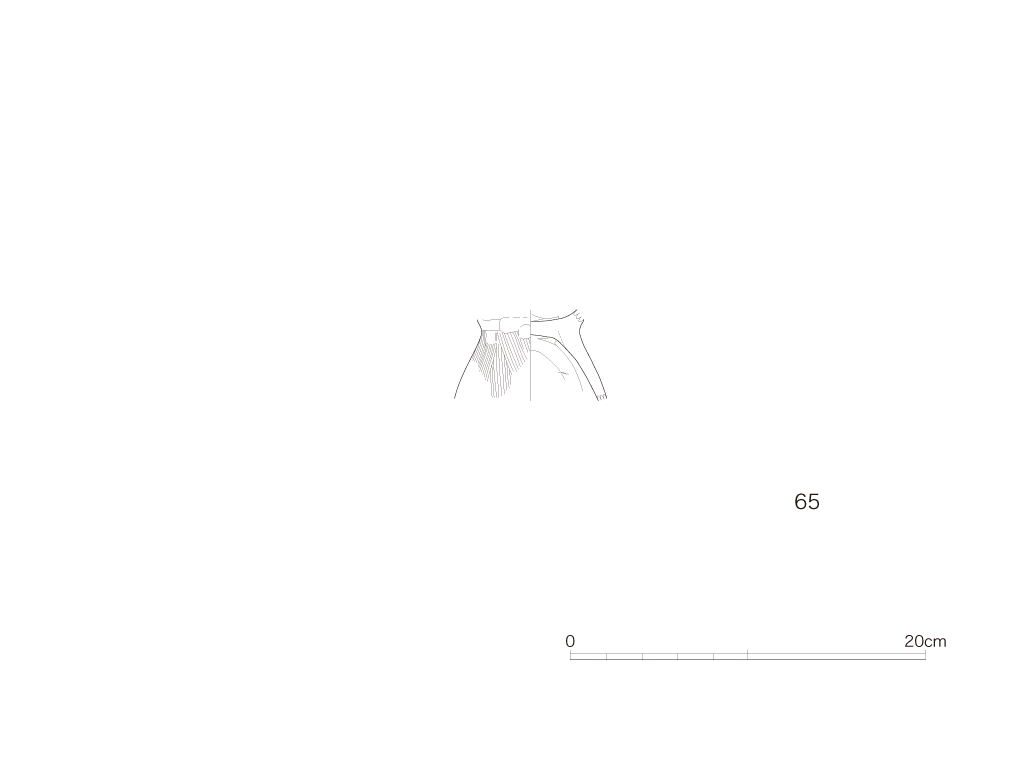 図版画像